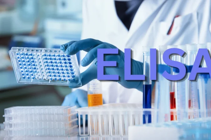 ELISA