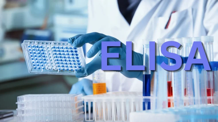 ELISA